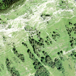 Satellite imagery of Leistchamm, CH