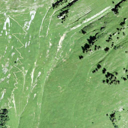 Satellite imagery of Nideri, CH