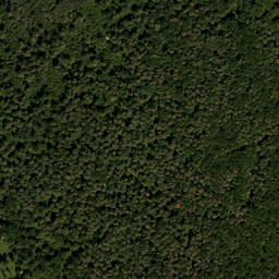 Satellite imagery of Hohensteinmais Berg, AT