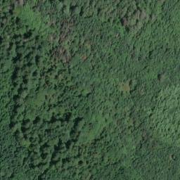 Satellite imagery of Cougar Point, US