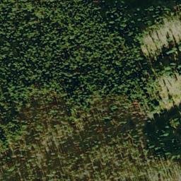 Satellite imagery of Leg Bone Ridge, US