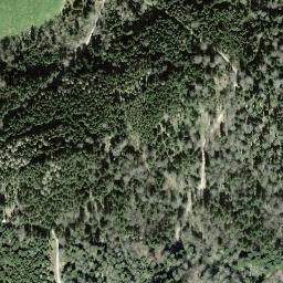 Satellite imagery of Zugerberg, CH