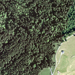 Satellite imagery of Rinderweidhoren, CH