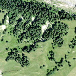 Satellite imagery of Bigligerhöchi, CH