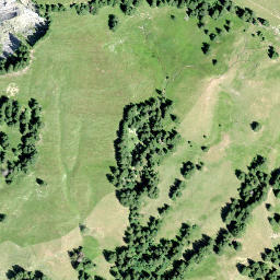 Satellite imagery of Bigligerhöchi, CH