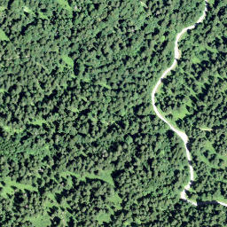Satellite imagery of Hirzegg, CH