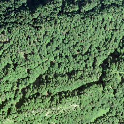 Satellite imagery of Wasseregg, CH