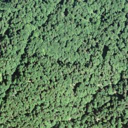 Satellite imagery of Kamm, CH