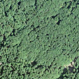 Satellite imagery of Kamm, CH