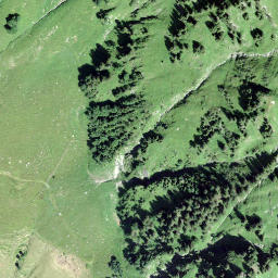 Satellite imagery of Höchst, CH