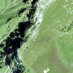 Satellite imagery of Höchst, CH