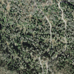 Satellite imagery of Höchzug, CH