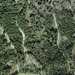 Satellite imagery of Hünggigütsch, CH