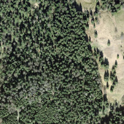 Satellite imagery of Hünggigütsch, CH