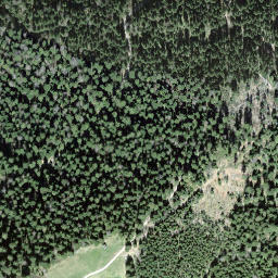 Satellite imagery of Ratengütsch, CH