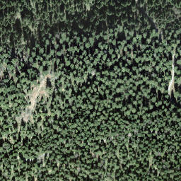 Satellite imagery of Ratengütsch, CH