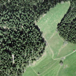 Satellite imagery of Ratengütsch, CH