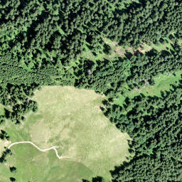 Satellite imagery of Rinderweidhoren, CH