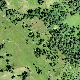 Satellite imagery of Lachnerstock, CH