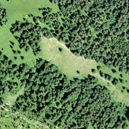 Satellite imagery of Lachnerstock, CH