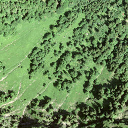 Satellite imagery of Wasseregg, CH