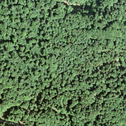 Satellite imagery of Kamm, CH