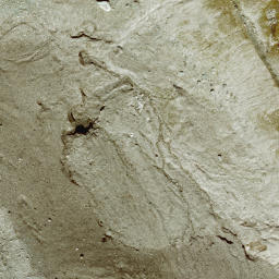 Satellite imagery of Totenkopf, AT