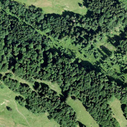 Satellite imagery of Spitzberg, CH