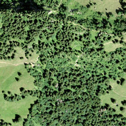 Satellite imagery of Planggenstock, CH