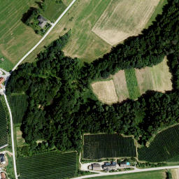 Satellite imagery of Schloss Dornhofen, AT