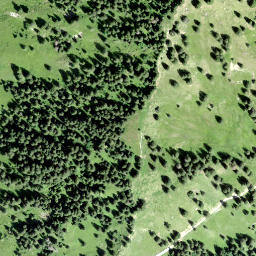 Satellite imagery of Rossweidhöchi, CH