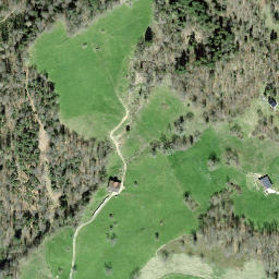 Satellite imagery of Schnuristein, CH