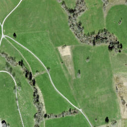 Satellite imagery of Schnuristein, CH