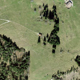 Satellite imagery of Vogelherd, CH