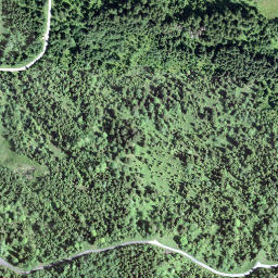Satellite imagery of Hirzegg, CH