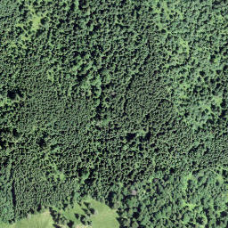 Satellite imagery of Saalbügel, CH