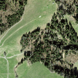 Satellite imagery of Freiherrenberg, CH