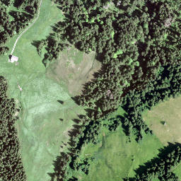 Satellite imagery of Büelhöchi, CH