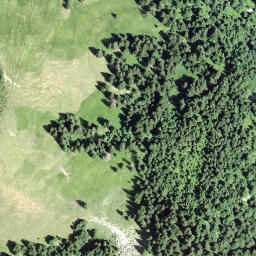 Satellite imagery of Saalbügel, CH
