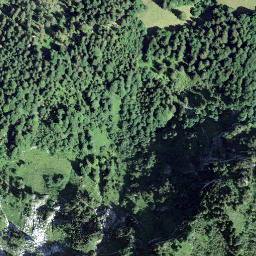 Satellite imagery of Wänifurggel, CH