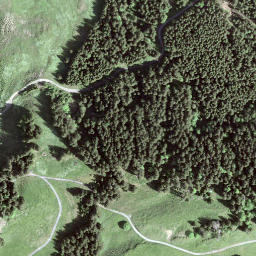 Satellite imagery of Hirzegg, CH