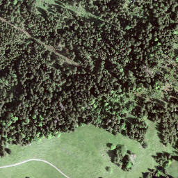 Satellite imagery of Büelhöchi, CH