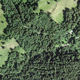Satellite imagery of Saalbügel, CH