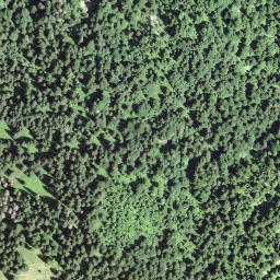 Satellite imagery of Gwürzegg, CH