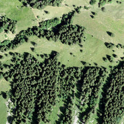 Satellite imagery of Fridlispitz, CH