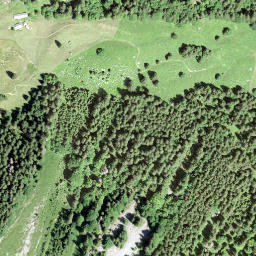 Satellite imagery of Fridlispitz, CH