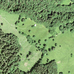 Satellite imagery of Fridlispitz, CH