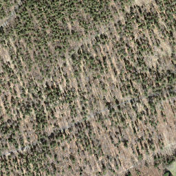 Satellite imagery of borNE-BE.18, CH