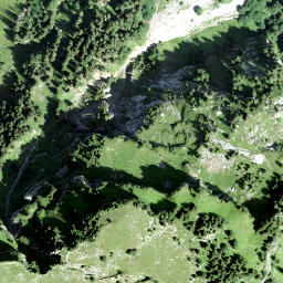 Satellite imagery of Gross Aubrig, CH