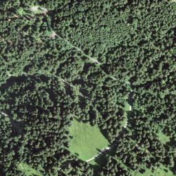 Satellite imagery of Brüschstockbügel, CH